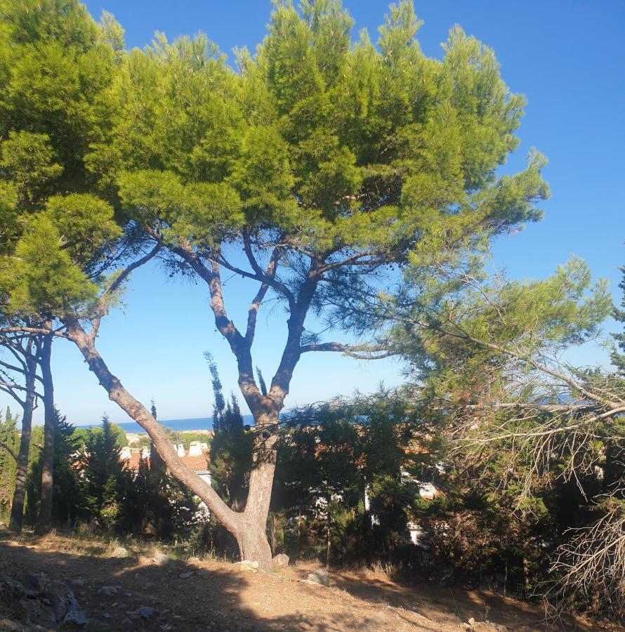 T2 Vue Mer Avec Parking Prive Saint-Pierre-la-Mer  Exterior foto